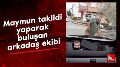 Maymun taklidi yaparak buluşan arkadaş ekibi