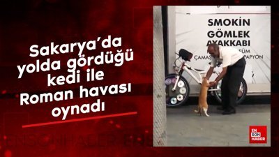 Sakarya'da yolda gördüğü kedi ile Roman havası oynadı