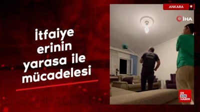 Ankara'da itfaiye erinin yarasa ile mücadelesi