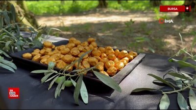 Bursa'da altın kaplamalı zeytin yok satıyor