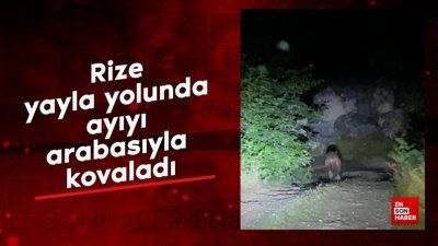 Rize yayla yolunda ayıyı arabasıyla kovaladı