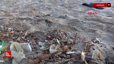 Antalya'da yavru carettaların çöplerin içinden denize ulaşma mücadelesi