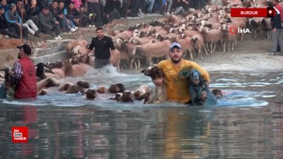 Burdur'da asırlardır sudan koyun geçirme geleneği yaşatılıyor