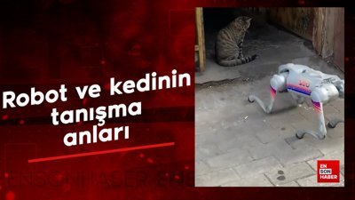 Robot ve kedinin tanışma anları