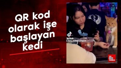 QR kod olarak işe başlayan kedi