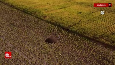 Eskişehir'de ayçiçeği tarlasında 20 metre obruk oluştu