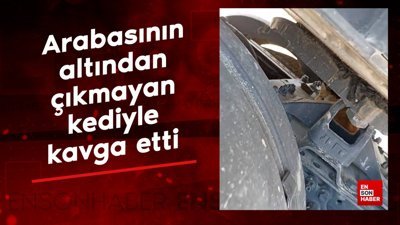 Arabasının altından çıkmayan kediyle kavga etti