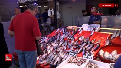 Trabzon 'da balıkçıların ağları palamutla doluyor
