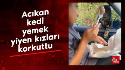 Acıkan kedi yemek yiyen kızları korkuttu