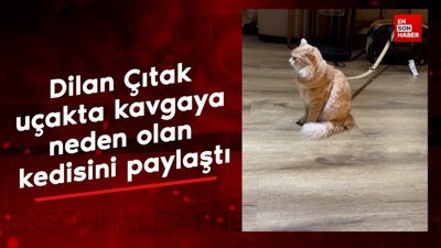 Dilan Çıtak uçakta kavgaya neden olan kedisini paylaştı