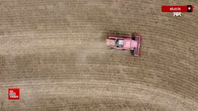 Bilecik'te yağlık ayçiçeği ekim alanı 3 yılda 30 bin dekar arttı