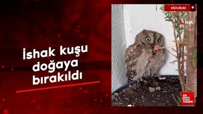 Erzurum'da ishak kuşu doğaya bırakıldı