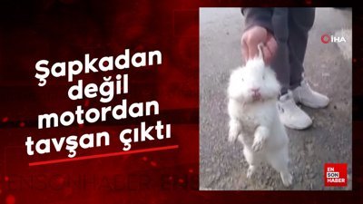 Şapkadan değil, motordan tavşan çıkarttı