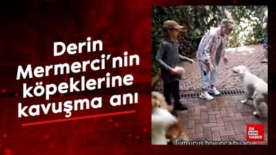 Derin Mermerci'nin köpeklerine kavuşma anı