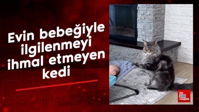Evin bebeğiyle ilgilenmeyi ihmal etmeyen kedi
