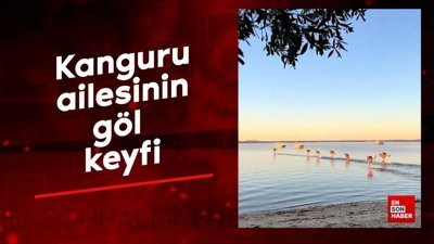 Kanguru ailesinin göl keyfi