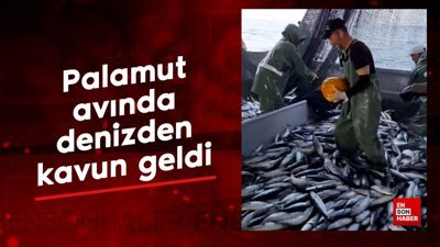 Palamut avında denizden kavun geldi