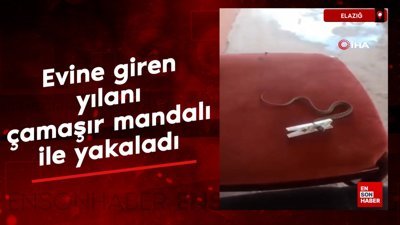 Elazığ'da evine giren yılanı çamaşır mandalı ile yakaladı