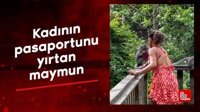 Kadının pasaportunu yırtan maymun
