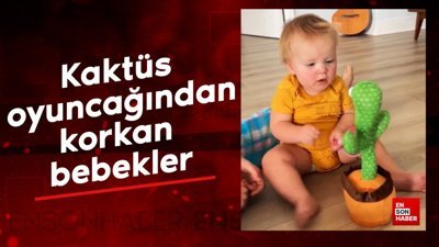 Kaktüs oyuncağından korkan bebekler