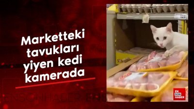 Marketteki tavukları yiyen kedi kamerada