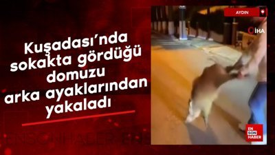 Kuşadası'nda sokakta gördüğü domuzu arka ayaklarından yakaladı