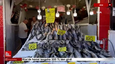 Rize’de hamsi tezgaha 200 TL’den girdi