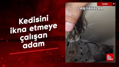 Fareyi yakalaması için kedisini ikna etmeye çalışan adam