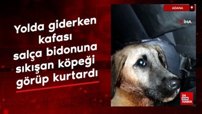 Adana'da yolda giderken kafası salça bidonuna sıkışan köpeği görüp kurtardı