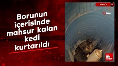 Bingöl’de borunun içerisinde mahsur kalan kedi kurtarıldı