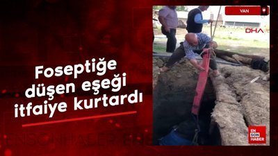 Van'da foseptiğe düşen eşeği itfaiye kurtardı