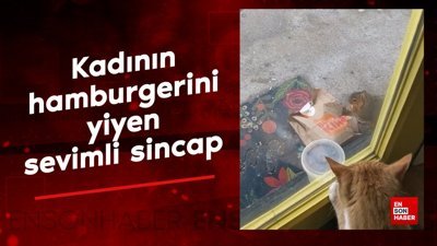 Kadının hamburgerini yiyen sevimli sincap
