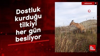 Ressam Nuh, dostluk kurduğu tilkiyi her gün besliyor