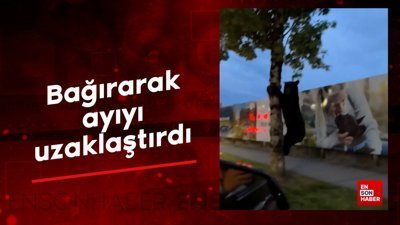 Ağaca tırmanan ayıyı bağırarak uzaklaştırdı