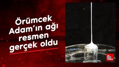 Örümcek Adam'ın ağı resmen gerçek oldu