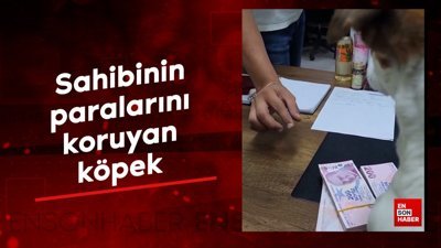 Sahibinin paralarını koruyan köpek