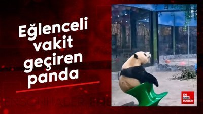 Eğlenceli vakit geçiren panda