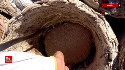 Bitlis’te dünyaca ünlü karakovan balı tercih ediliyor