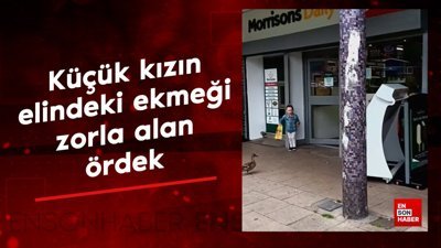 Küçük kızın elindeki ekmeği zorla alan ördek