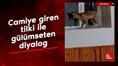 Erzurum'da camiye giren tilki ile gülümseten diyalog