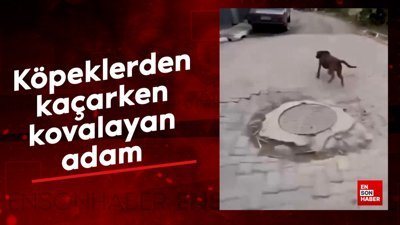 Köpeklerden kaçarken kovalamaya başladı