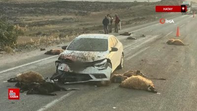 Hatay'da küçükbaş hayvan sürüsünün arasında otomobil daldı