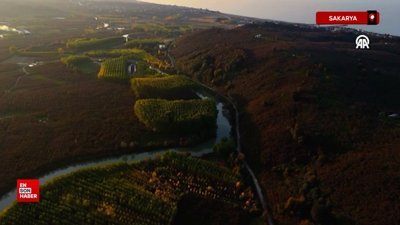 Sakarya'da Melen Çayı Havzası sonbaharın renklerini kuşandı
