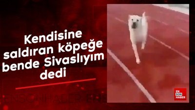 Kendisine saldıran köpeğe bende Sivaslıyım dedi