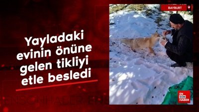 Bayburt'ta yayladaki evinin önüne gelen tikliyi etle besledi