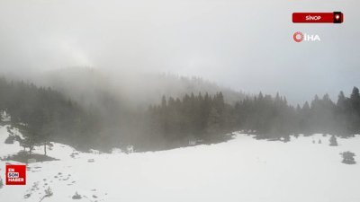 Sinop'un zirvesinden kartpostallık görüntüler