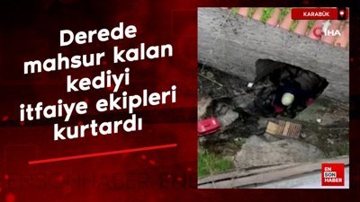 Karabük'te derede mahsur kalan kediyi itfaiye ekipleri kurtardı
