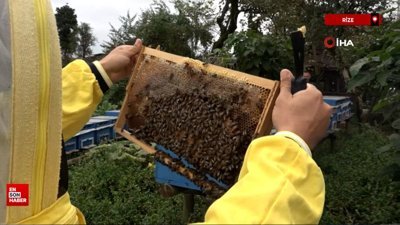 Rize'de arıcılık yapmak için doktora ve öğretmenlikten vazgeçti