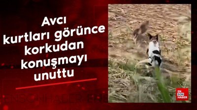 Avcı kurtları görünce korkudan konuşmayı unuttu