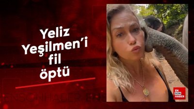 Yeliz Yeşilmen'i fil öptü